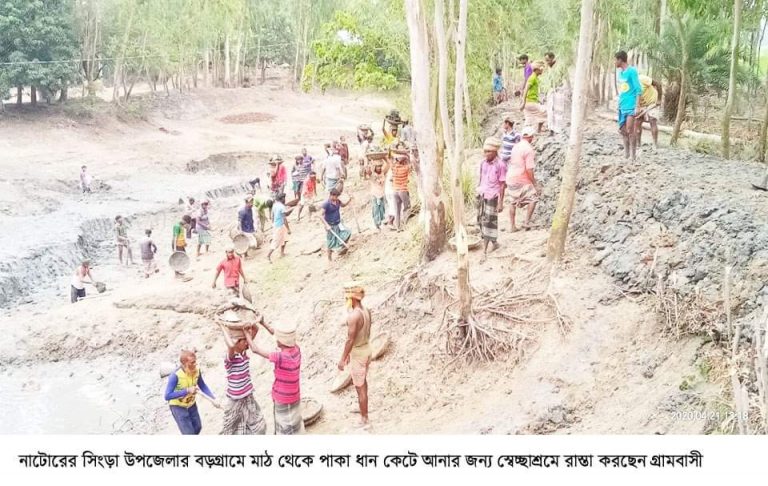 সিংড়ায় মাঠ থেকে ধান আনতে স্বেচ্ছাশ্রমে রাস্তা করলেন গ্রামবাসী