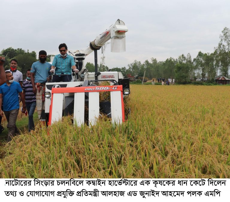 চলনবিলে কম্বাইন হার্ভেস্টারে ধান কাটলেন প্রতিমন্ত্রী পলক