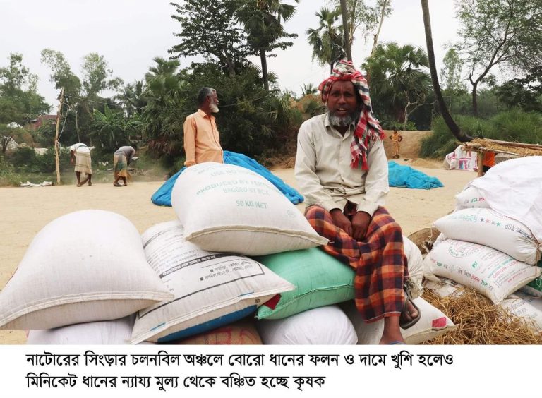 চলনবিলে বোরো ধানের দাম ও ফলনে খুশি কৃষক