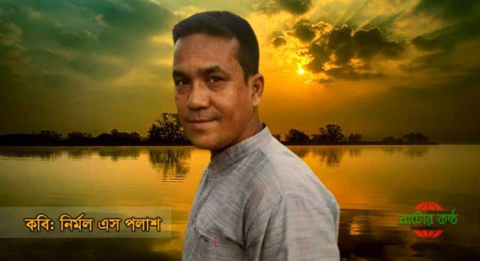 কবি নির্মল এস পলাশ