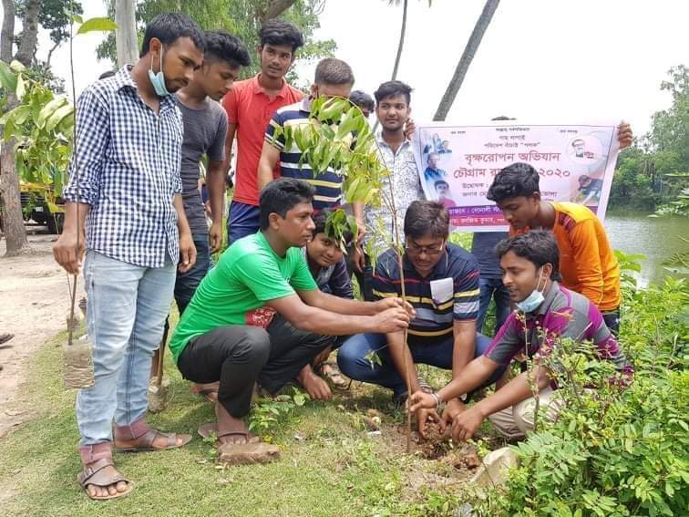 সিংড়ায় সোনালী ক্লাবের আয়োজনে বৃক্ষরোপণ সিংড়া