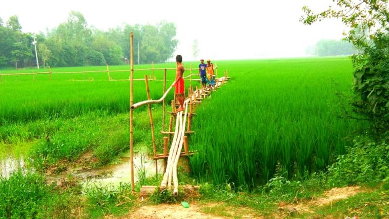 মন্ত্রী পলকের কাছে দাবি সড়ক নির্মাণের প্রতিশ্রুতি বাস্তবায়নের