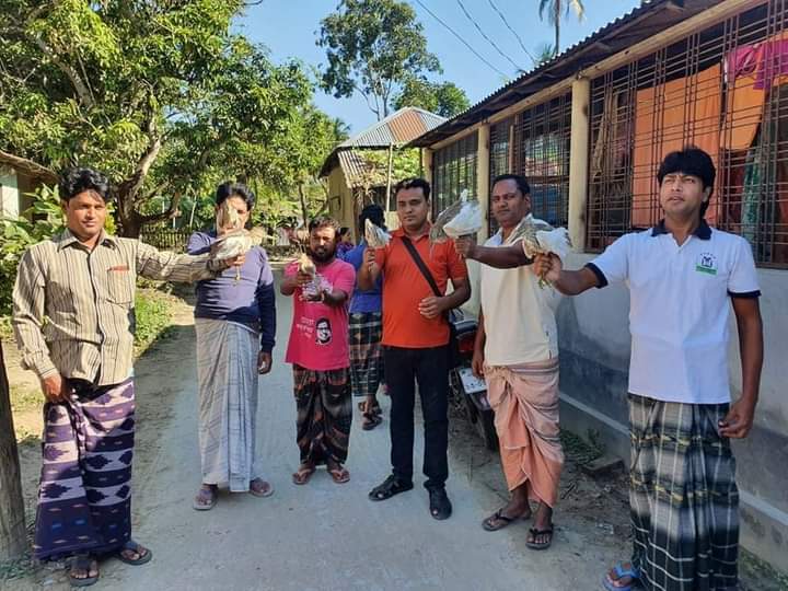 সিংড়ায় চলনবিলে ৬২টি বক অবমুক্ত