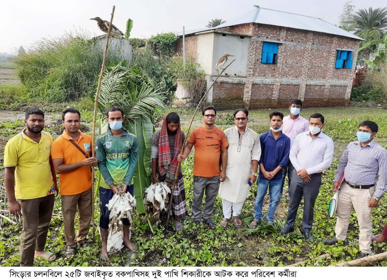 সিংড়ার চলনবিলে দুই পাখি শিকারী আটক ॥ ফাঁদ ধ্বংস, ২৩টি জবাইকৃত বক উদ্ধার