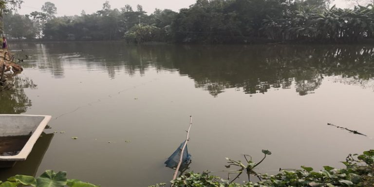 সিংড়ায় লীজকৃত পুকুর দখলের পায়তারা,১০ লক্ষ টাকার মাছ নিধন