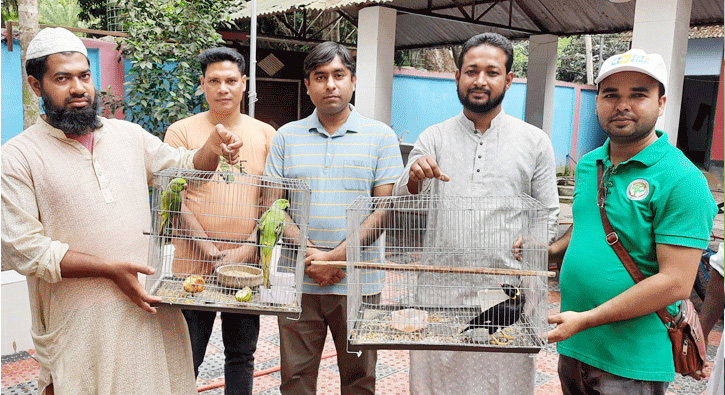 নাটোরের সিংড়ায় অভিনব কায়দায় বন্য পাখি উদ্ধার : বিক্রেতা আটক